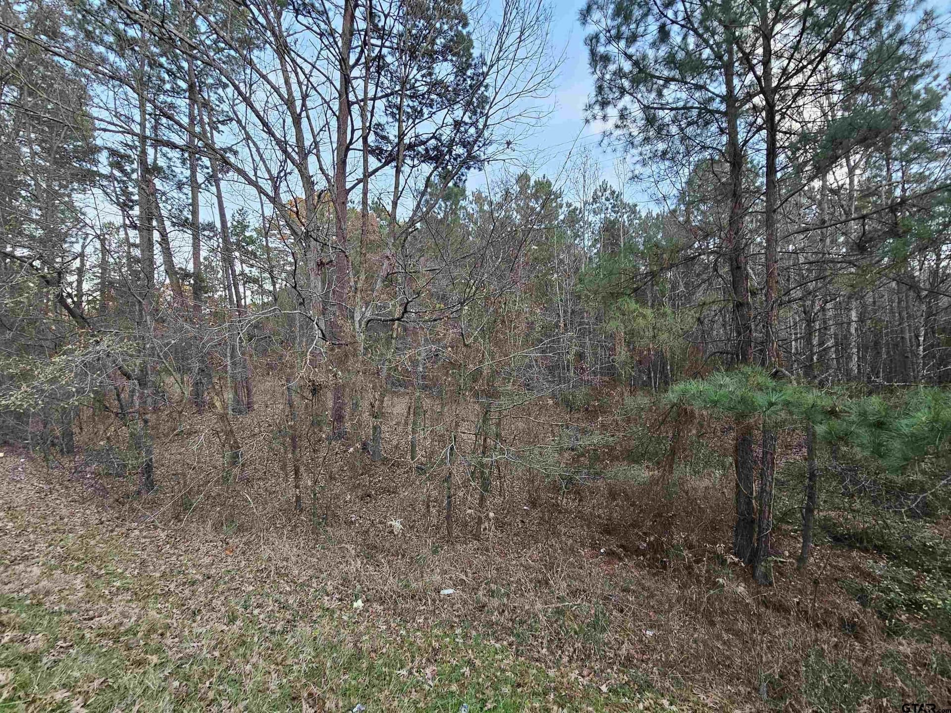 2 acres in Upshur County - photo 7