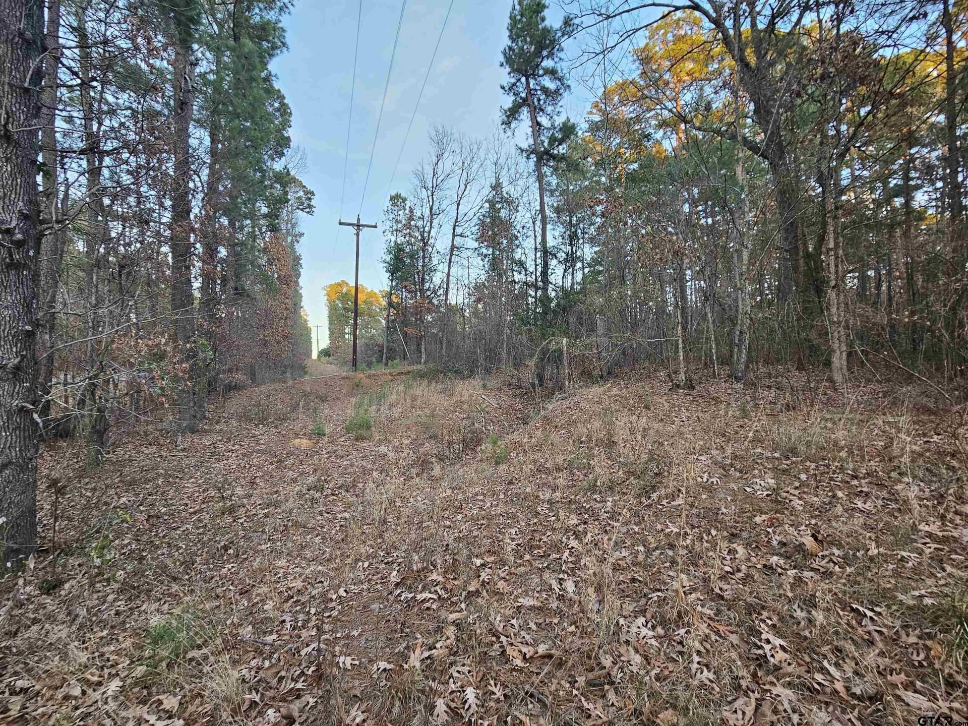 2 acres in Upshur County - photo 4
