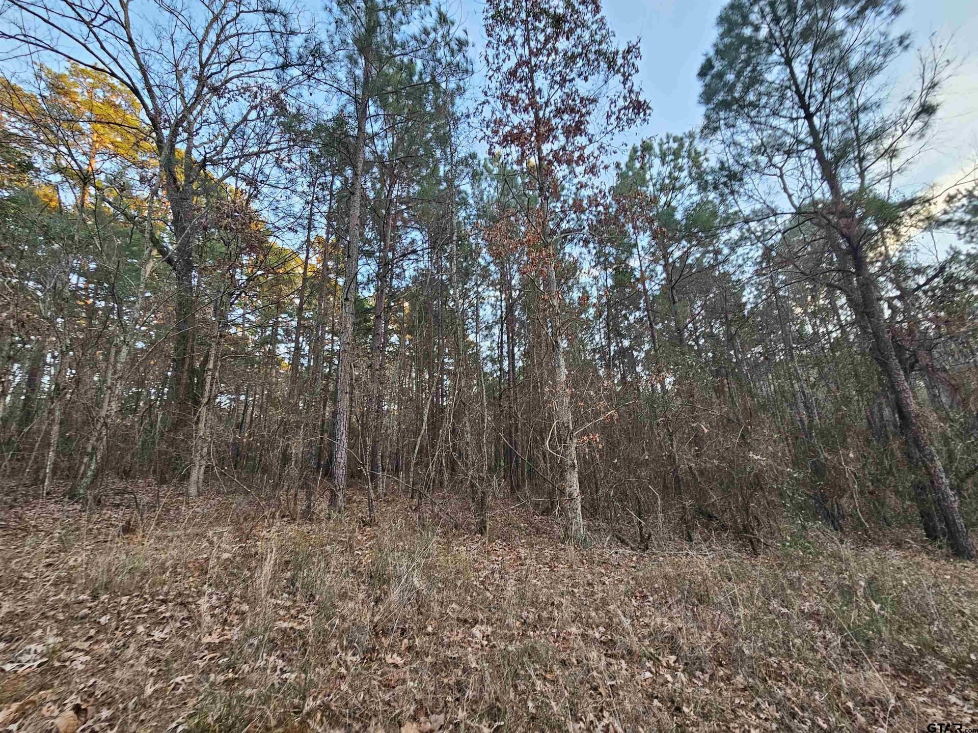 2 acres in Upshur County - photo 3