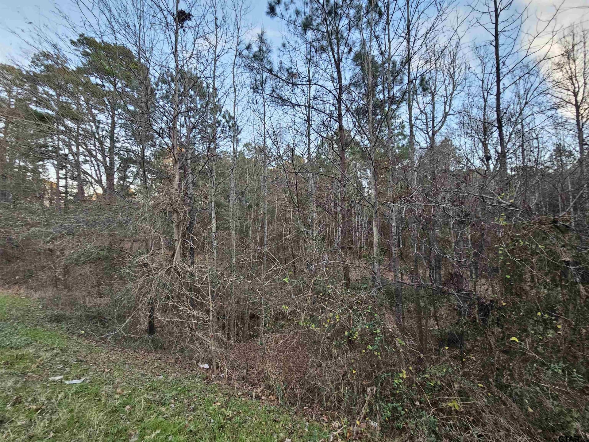 2 acres in Upshur County - photo 5