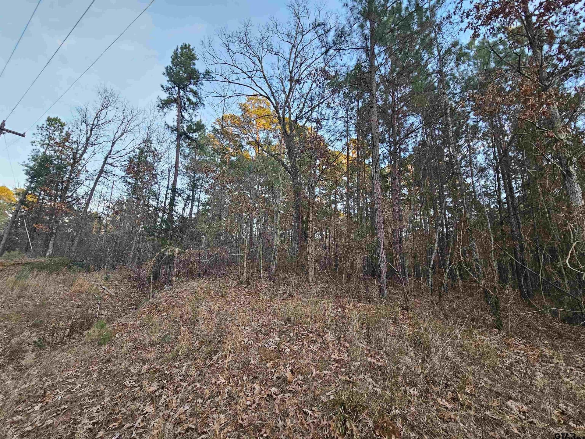 2 acres in Upshur County - photo 2