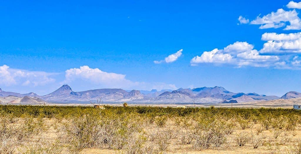 21 acres in Brewster County - photo 6