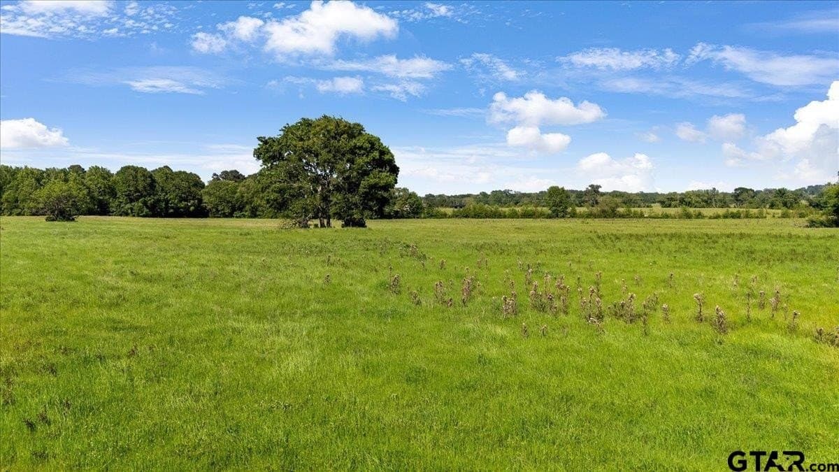 52.43 acres in Cherokee County - photo 4