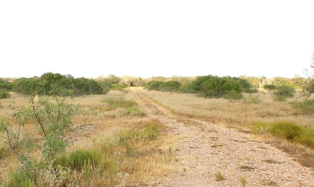 10 acres in Colorado County - photo 3