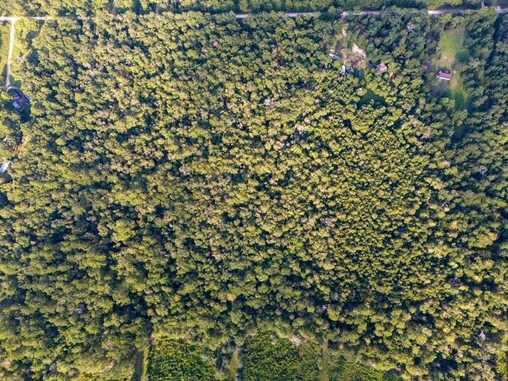 10 acres in Hardin County - photo 4