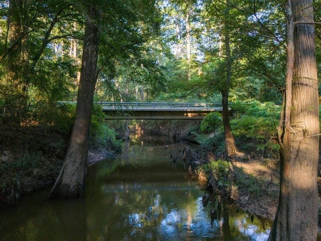 10 acres in Hardin County - photo 7
