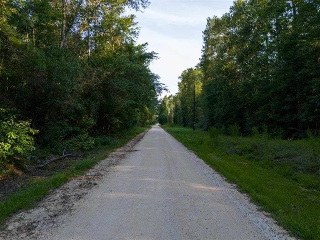 10 acres in Hardin County - photo 5