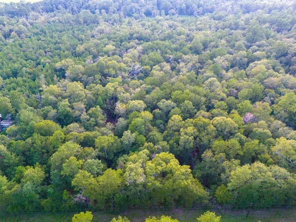 10 acres in Hardin County - photo 6