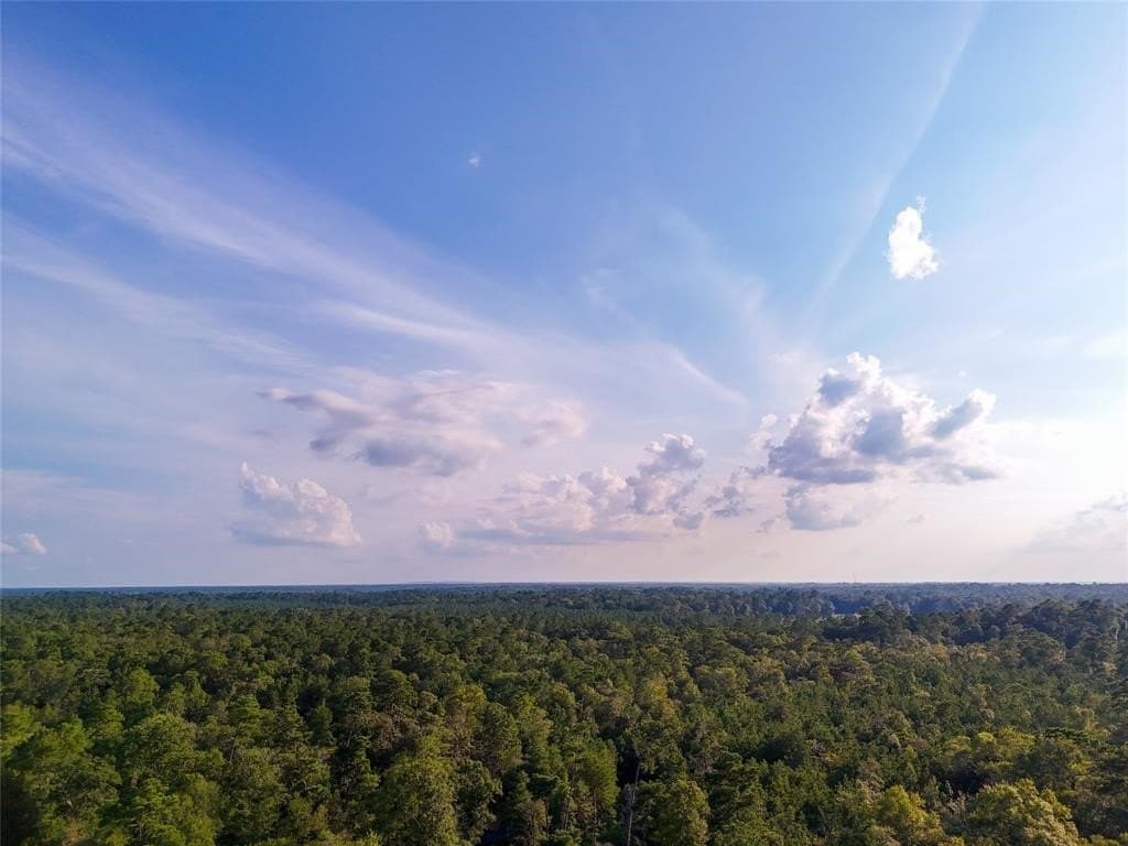 10 acres in Hardin County - photo 3