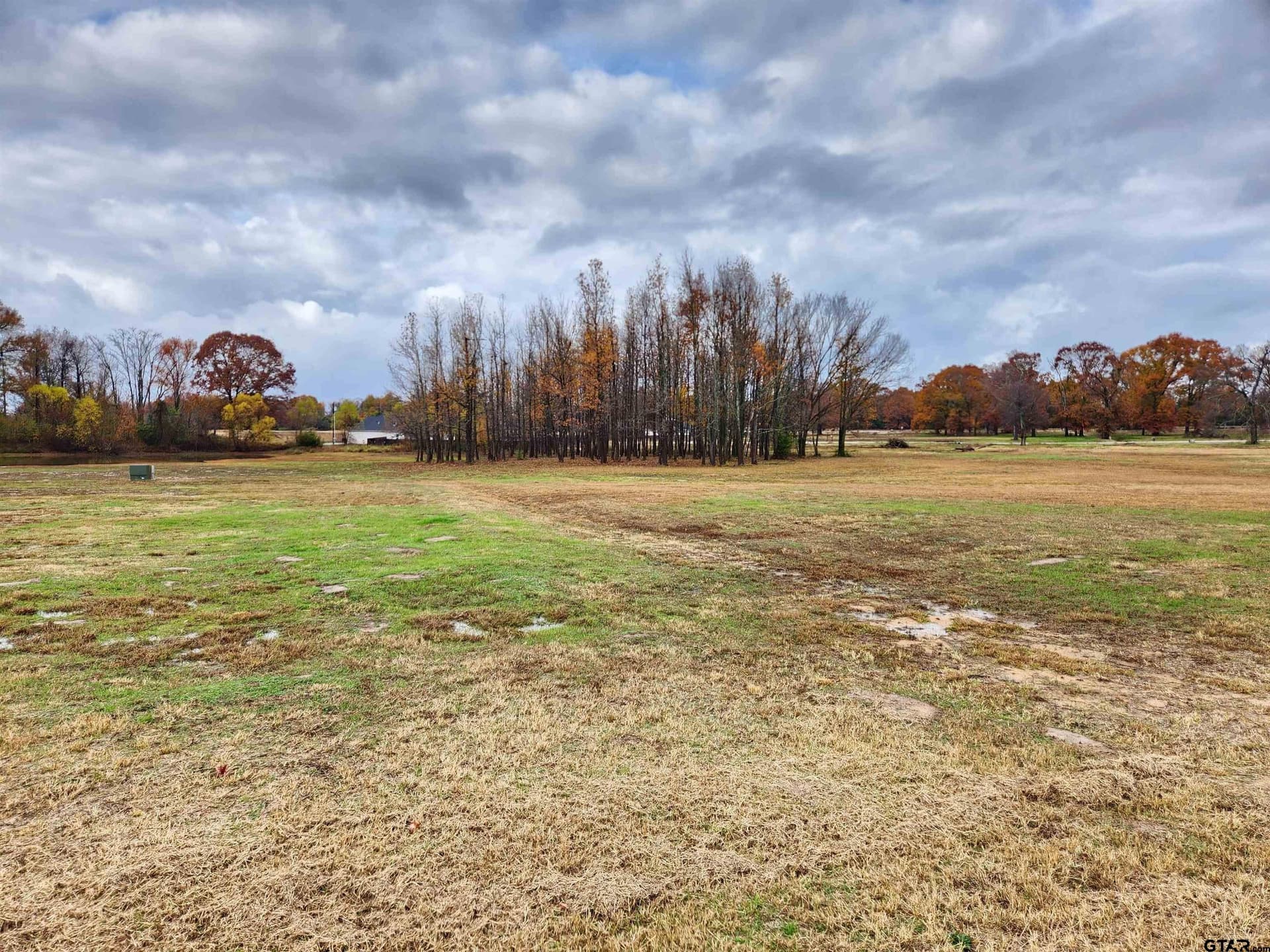 8.61 acres in Wood County - photo 5