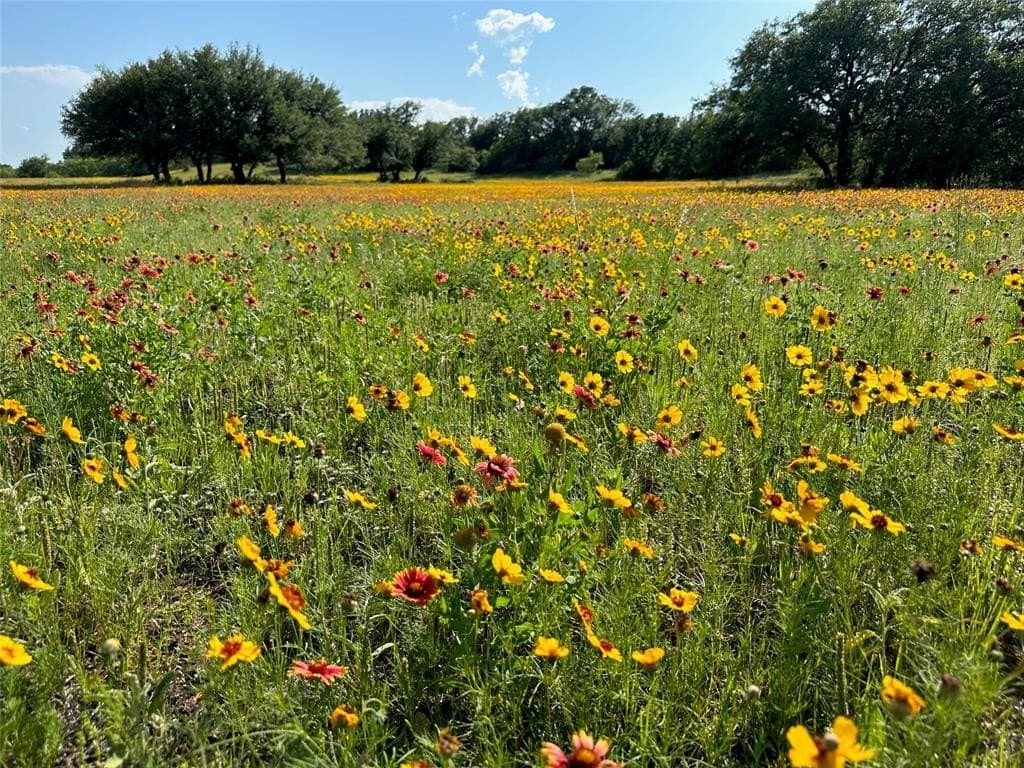 0.81 acres in Brown County - photo 38