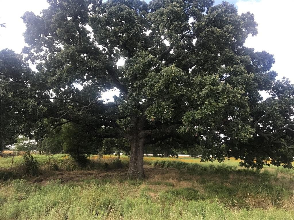 16.63 acres in Van Zandt County - photo 2