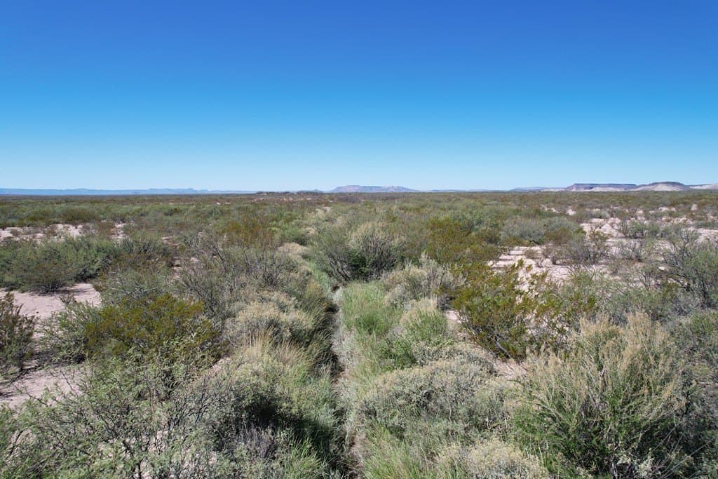 80.99 acres in Brewster County - photo 10