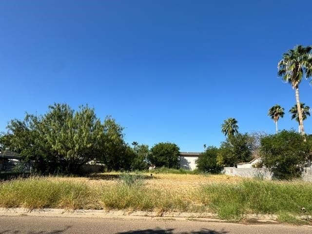0.12 acres in webb County - photo 4