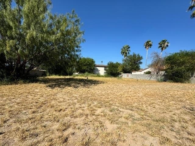 0.12 acres in webb County - photo 3
