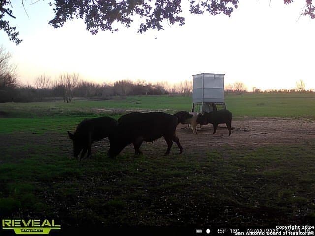 90 acres in Bexar County - photo 10