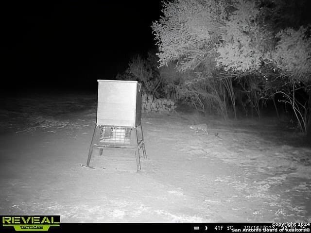 90 acres in Bexar County - photo 9