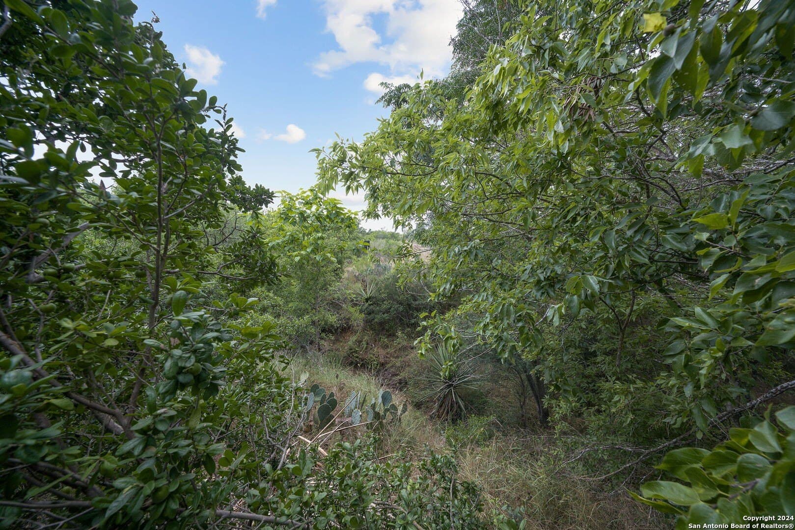 90 acres in Bexar County - photo 22
