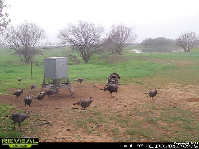 90 acres in Bexar County - photo 11