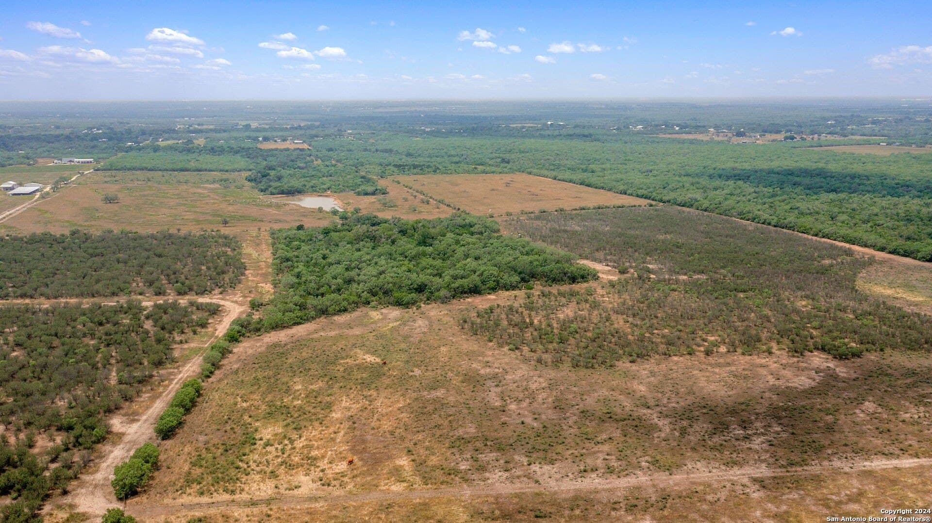 90 acres in Bexar County - photo 15