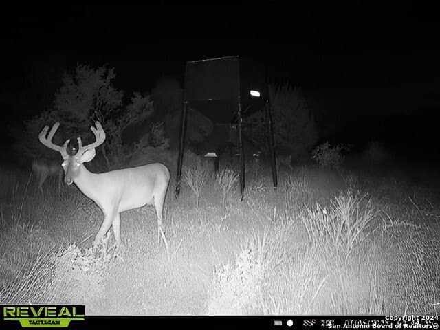 90 acres in Bexar County - photo 7