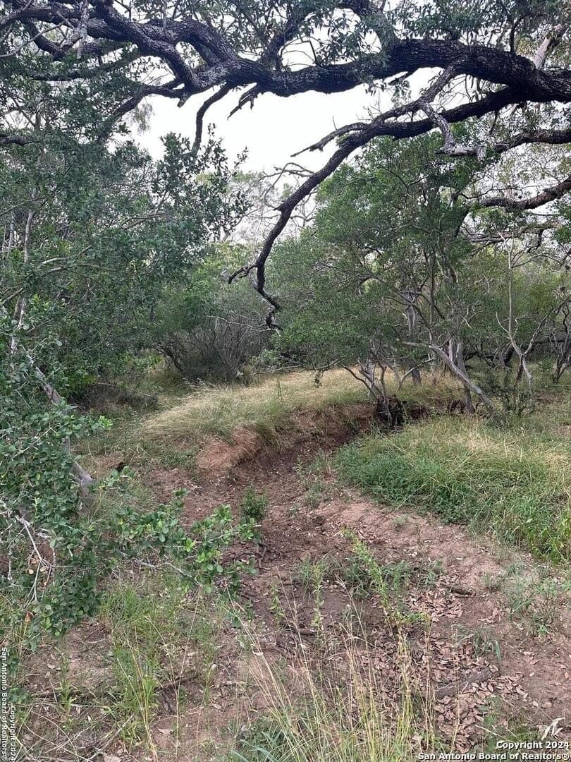 90 acres in Bexar County - photo 5
