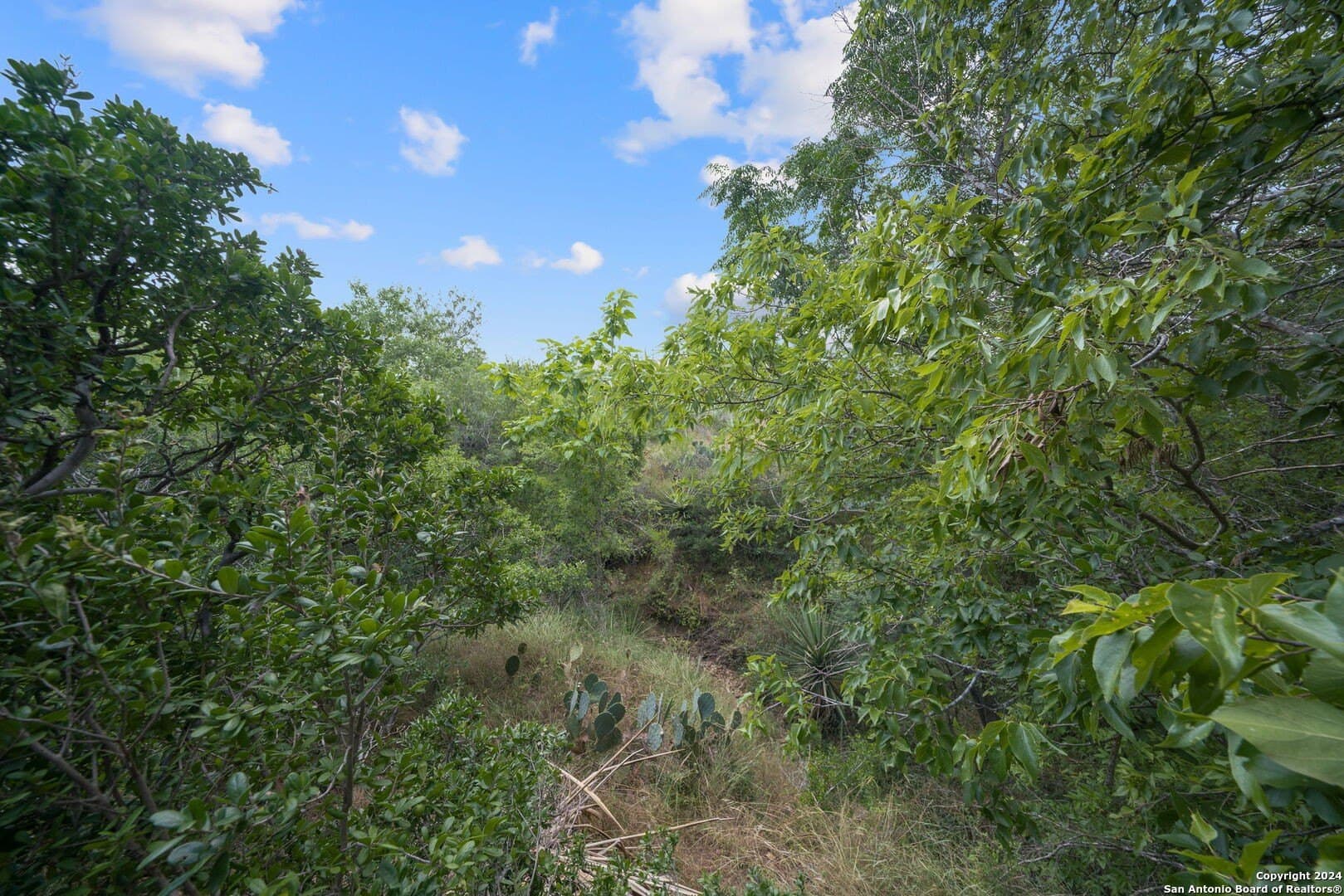 90 acres in Bexar County - photo 23