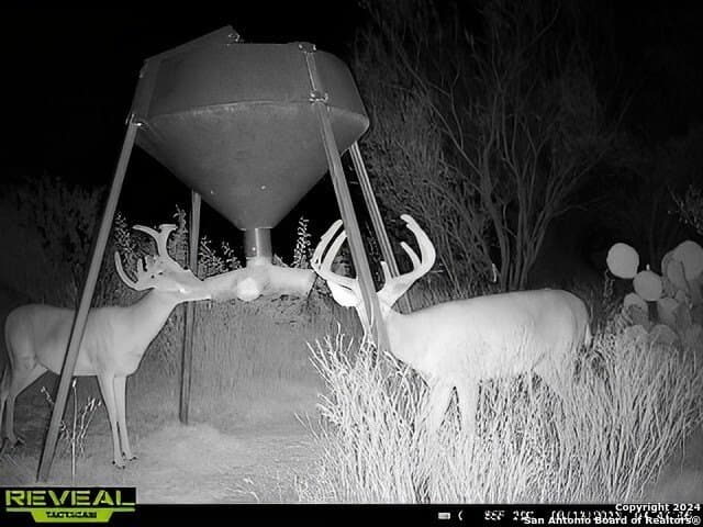 90 acres in Bexar County - photo 8