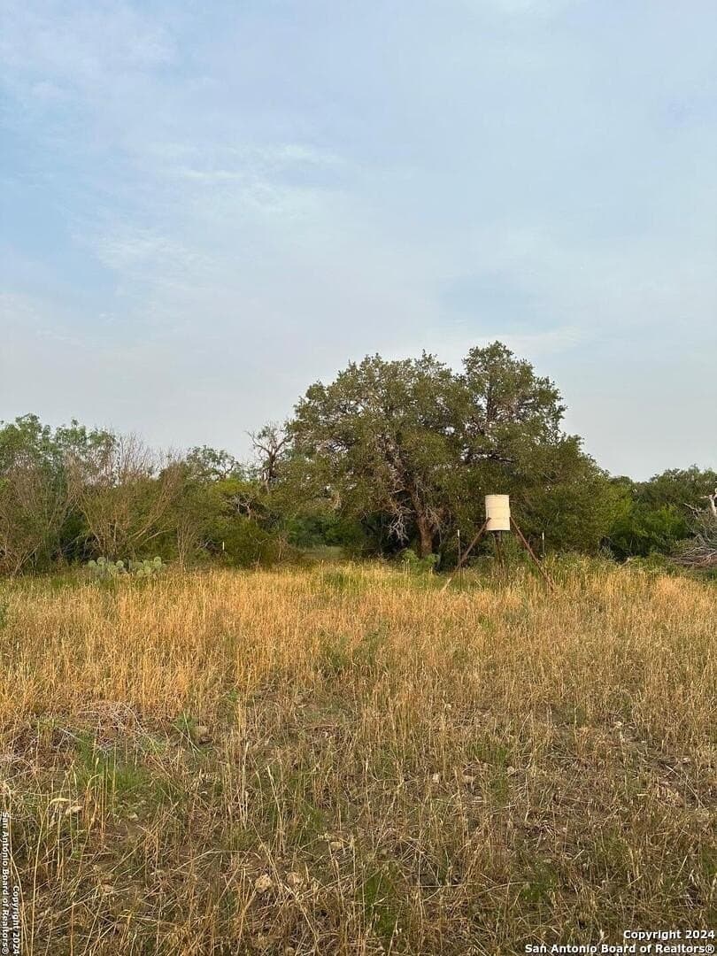 90 acres in Bexar County - photo 6