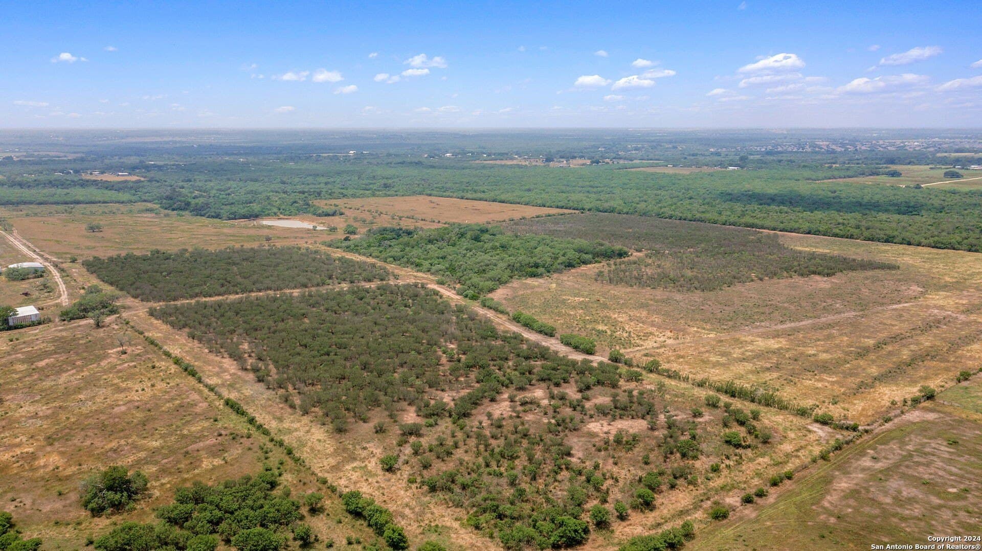 90 acres in Bexar County - photo 14