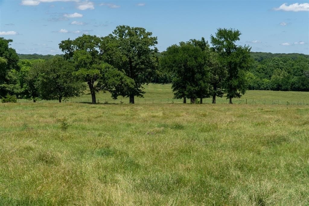 42.3 acres in Grayson County - photo 26
