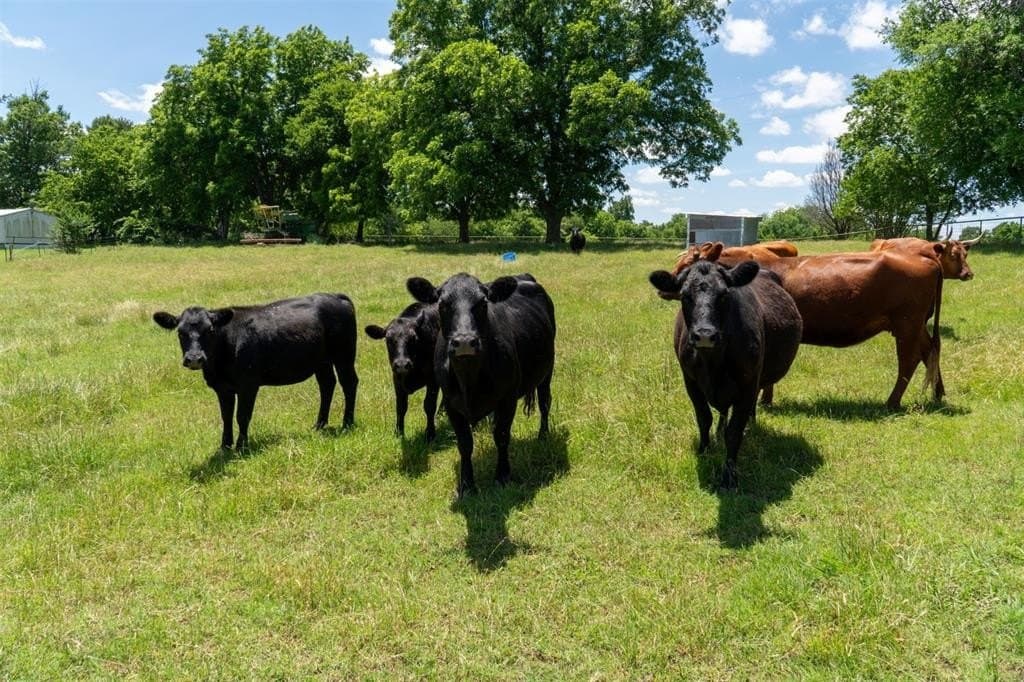 42.3 acres in Grayson County - photo 37
