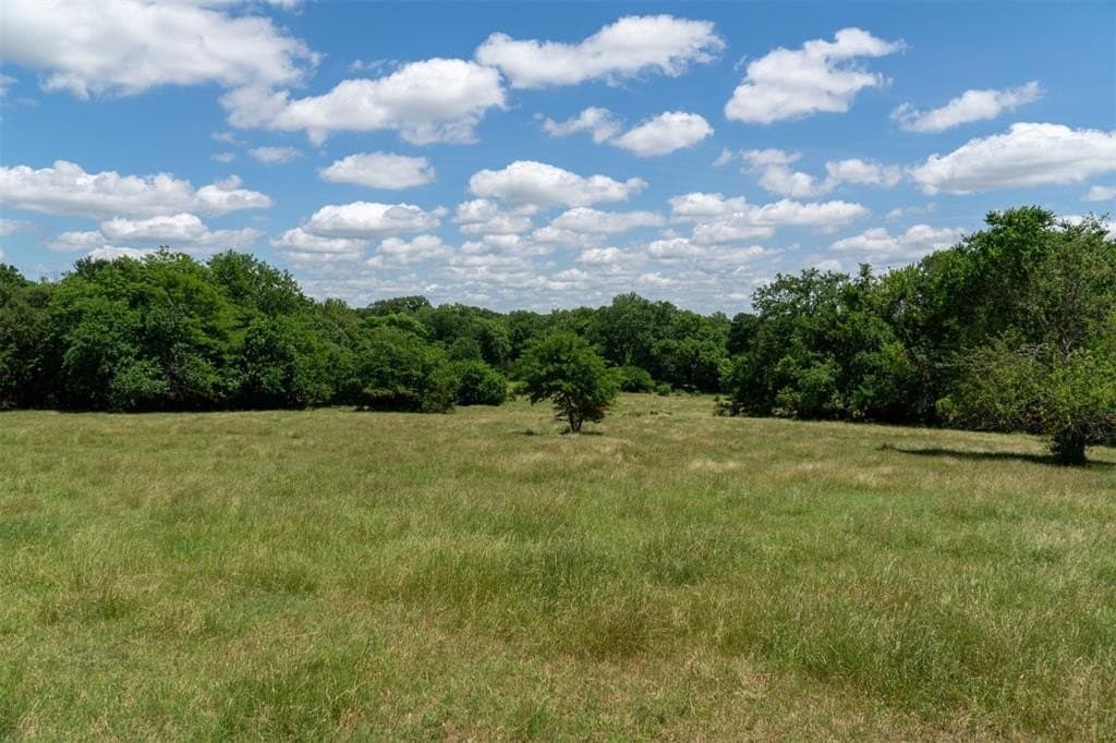 42.3 acres in Grayson County - photo 31