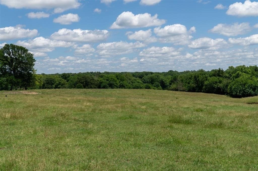 42.3 acres in Grayson County - photo 36