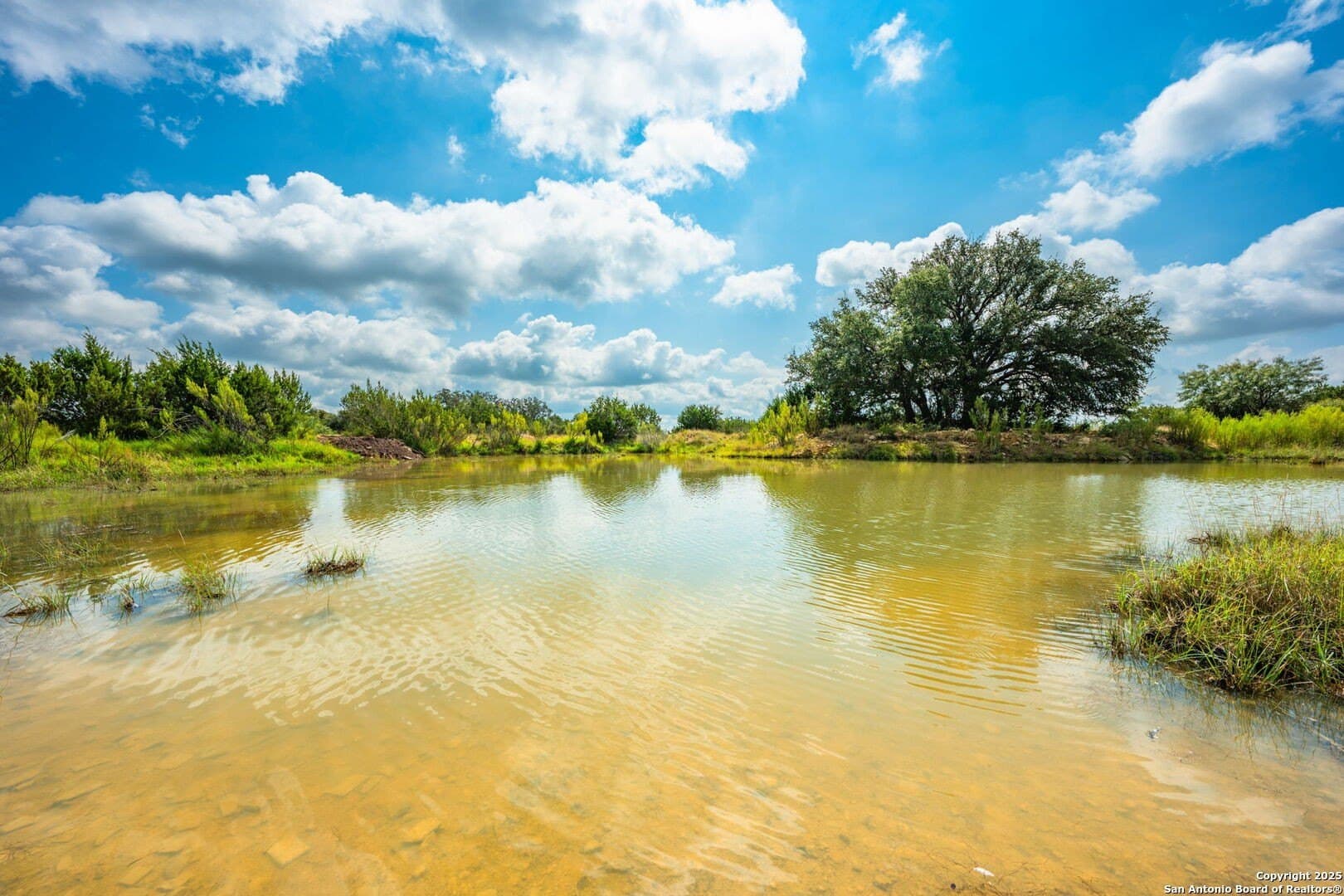 180.6 acres in Sutton County - photo 41