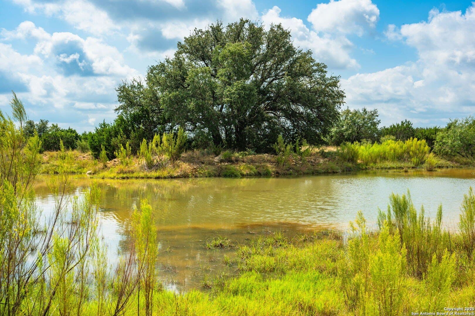 180.6 acres in Sutton County - photo 40
