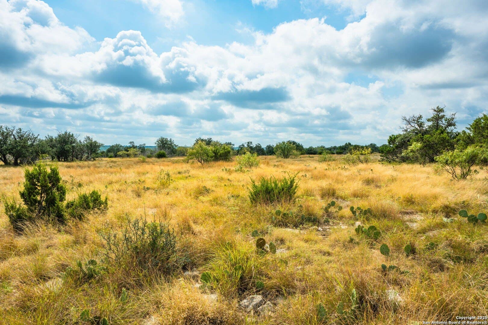 180.6 acres in Sutton County - photo 28