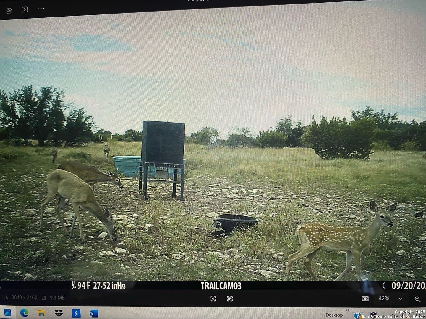 180.6 acres in Sutton County - photo 45