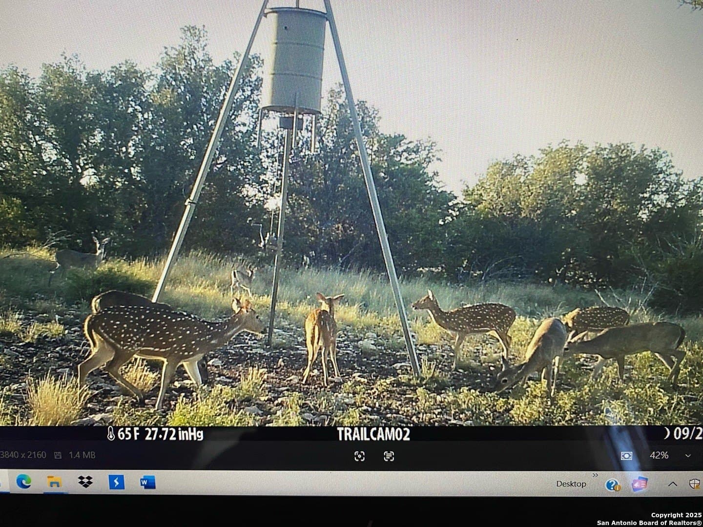 180.6 acres in Sutton County - photo 44