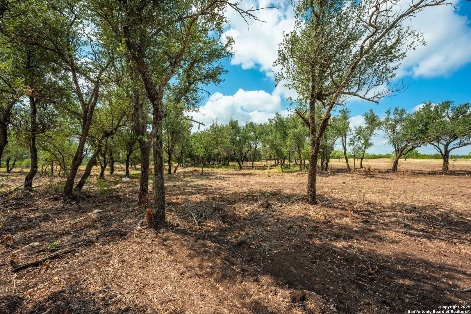 180.6 acres in Sutton County - photo 43