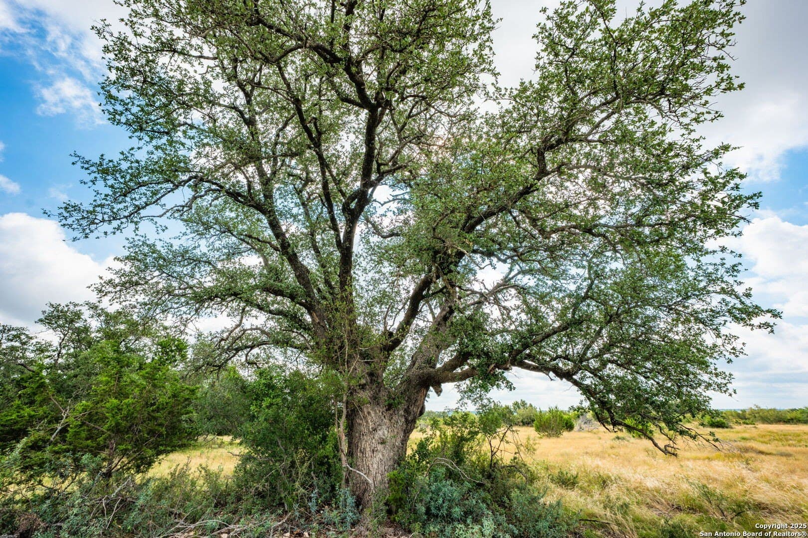 180.6 acres in Sutton County - photo 36