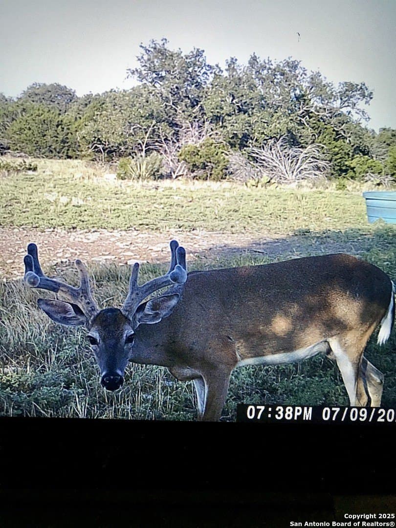 180.6 acres in Sutton County - photo 6