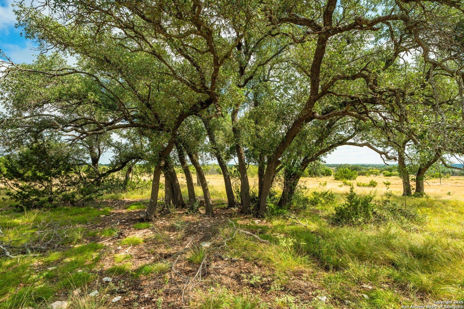 180.6 acres in Sutton County - photo 37