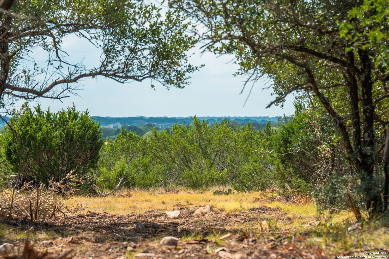 180.6 acres in Sutton County - photo 42