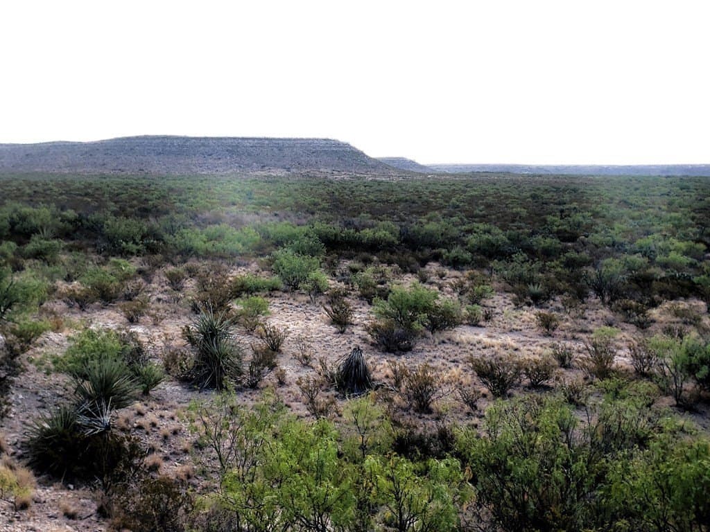 291.3 acres in Upton County - photo 6