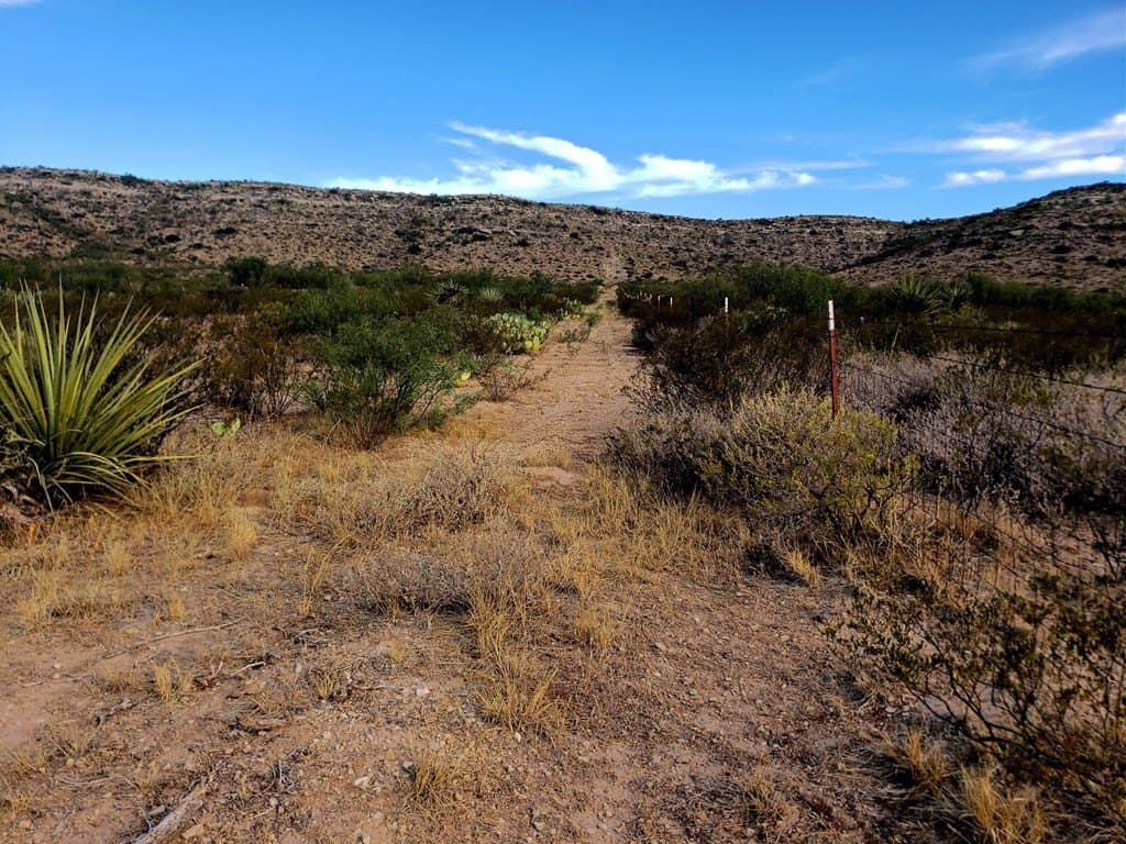291.3 acres in Upton County - photo 8