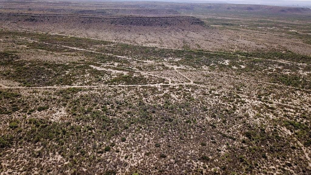 291.3 acres in Upton County - photo 15
