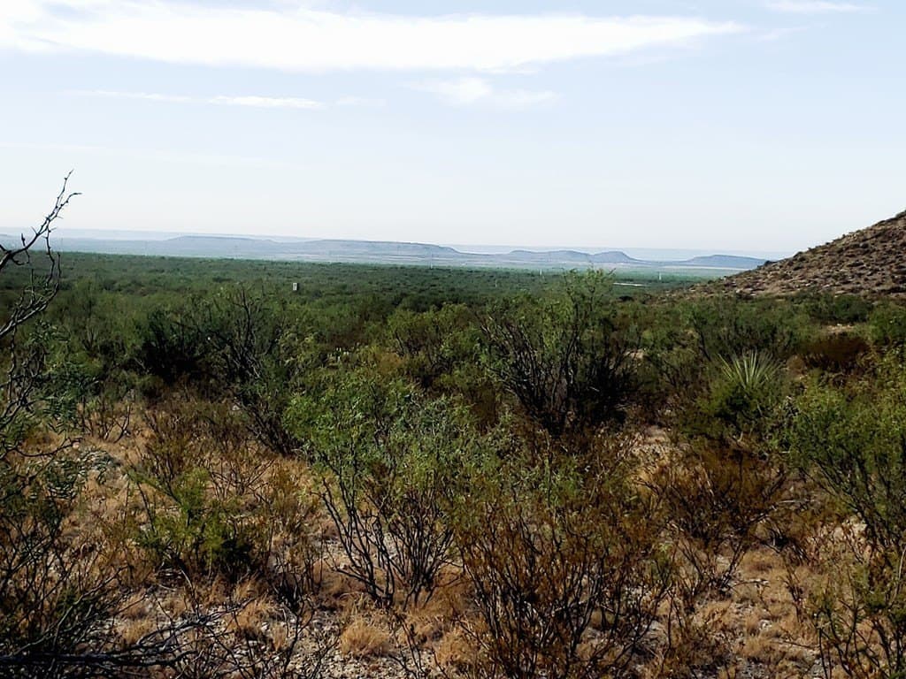 291.3 acres in Upton County - photo 12