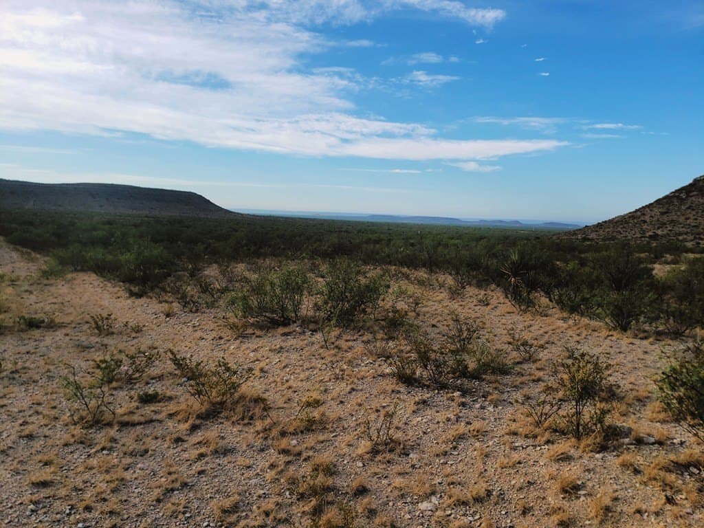 291.3 acres in Upton County - photo 7