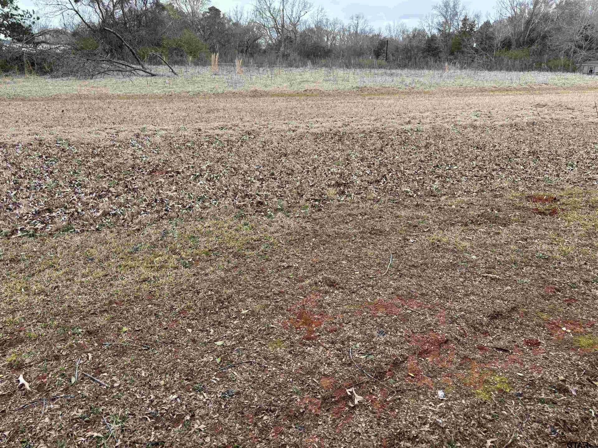 0.33 acres in Cherokee County - photo 2